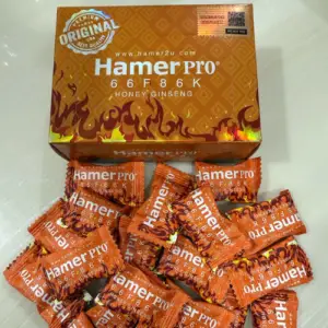 HAMERPRO-66F86F